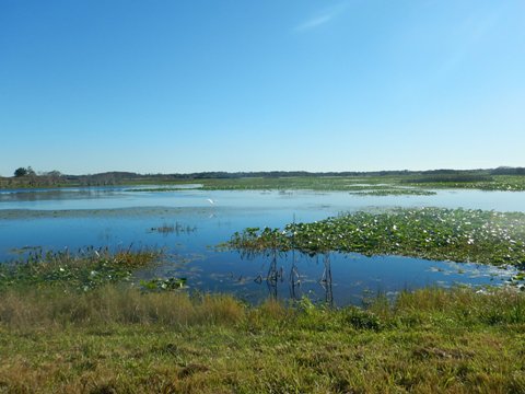 Orlando Wetlands