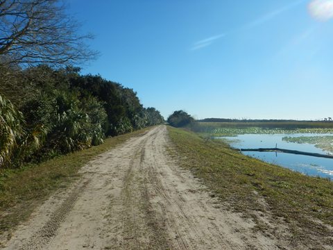 Orlando Wetlands