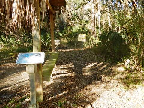 Orlando Wetlands