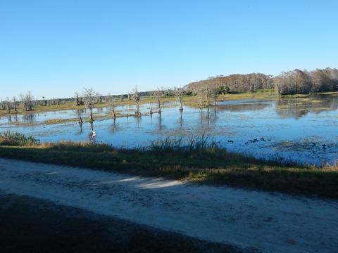 Orlando Wetlands