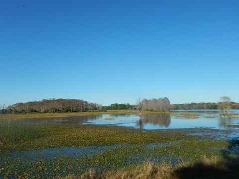 Orlando Wetlands