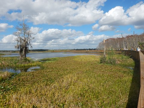 Orlando Wetlands