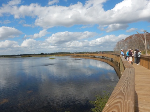 Orlando Wetlands