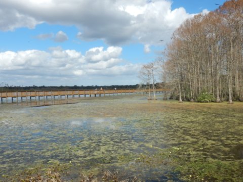 Orlando Wetlands