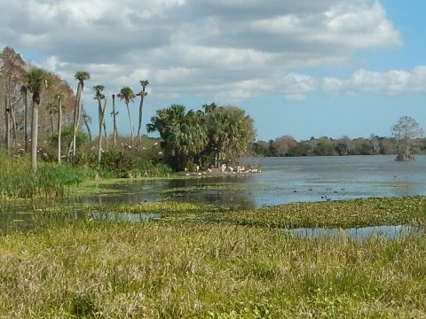 Orlando Wetlands