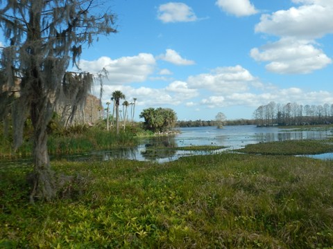 Orlando Wetlands