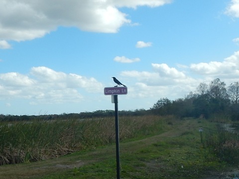 Orlando Wetlands