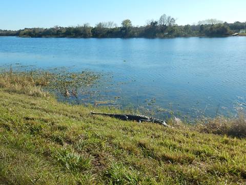 Orlando Wetlands