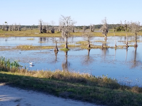 Orlando Wetlands