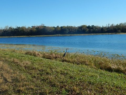 Orlando Wetlands