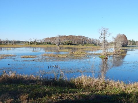 Orlando Wetlands