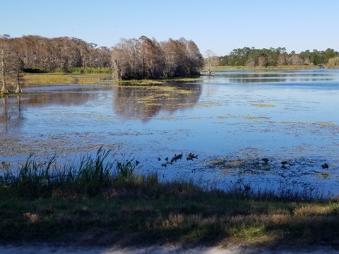 Orlando Wetlands