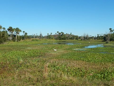 Orlando Wetlands