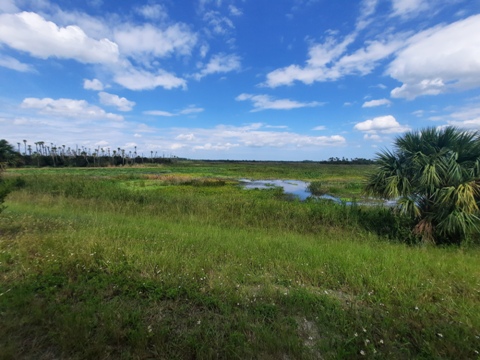 Orlando Wetlands