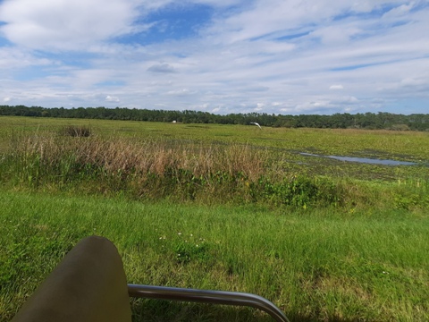 Orlando Wetlands