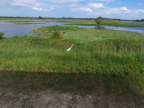 Orlando Wetlands