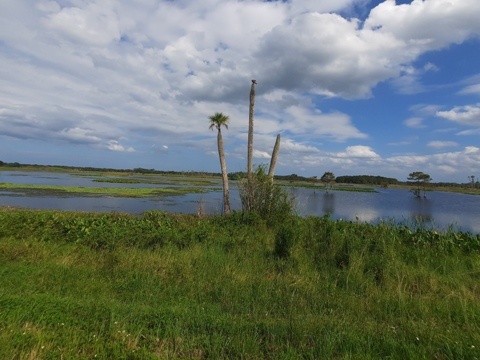 Orlando Wetlands