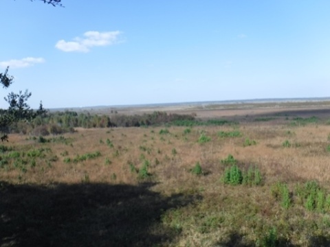 Payne's Prairie Preserve, eco-biking, visitor center