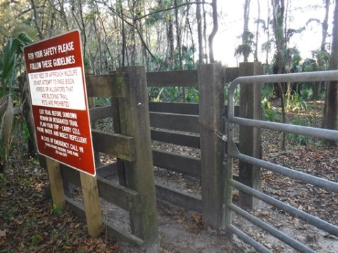 Payne's Prairie eco-biking, cone dike trail