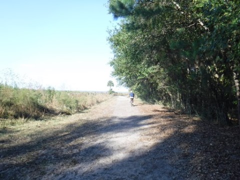 Payne's Prairie, eco-biking, cone dike trail