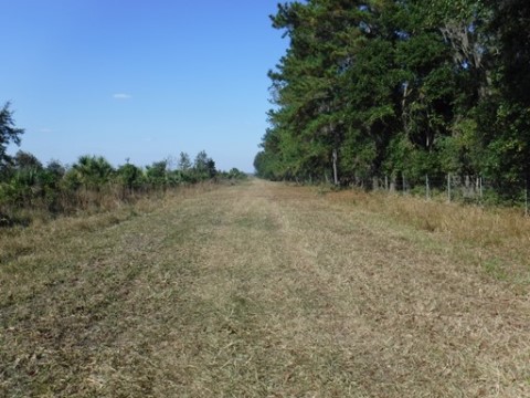 Payne's Prairie, eco-biking, cone dike trail