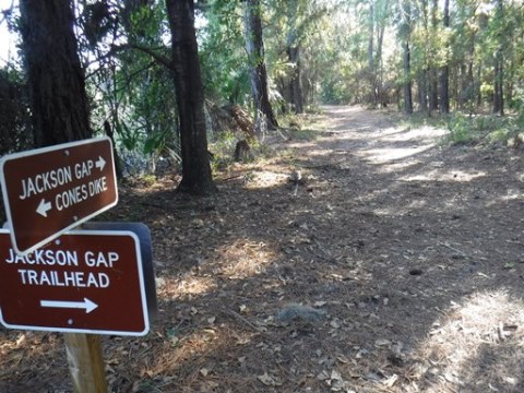 Payne's Prairie eco-biking, jacksons gap trail