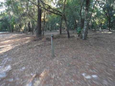 Payne's Prairie eco-biking, jacksons gap trail