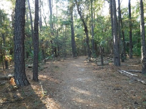 Payne's Prairie eco-biking, jacksons gap trail