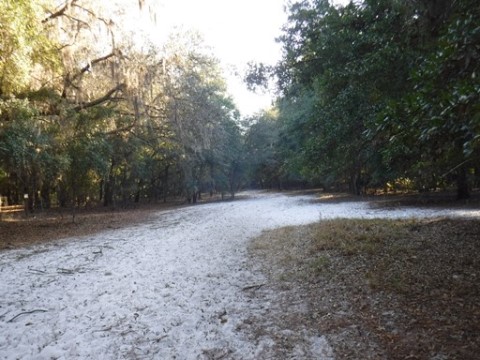 Payne's Prairie eco-biking, jacksons gap trail