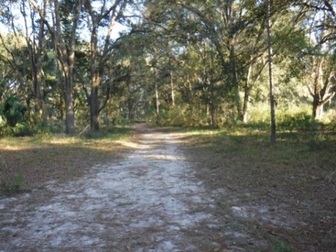 Payne's Prairie eco-biking, Chacala Trails