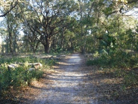 Payne's Prairie eco-biking, Chacala Trails