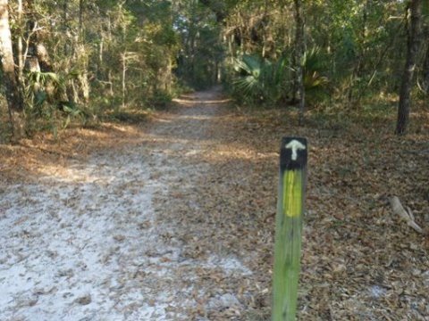 Payne's Prairie eco-biking, Chacala Trails