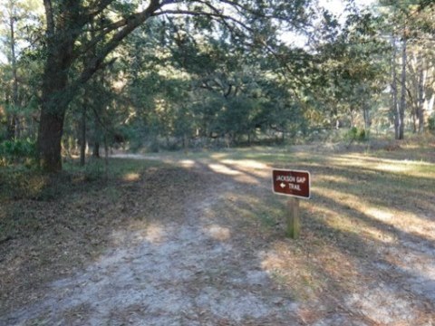 Payne's Prairie eco-biking, Chacala Trails