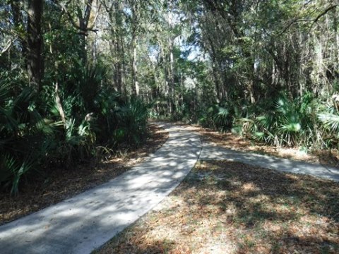 Payne's Prairie Preserve State Park, eco-biking, lake trail