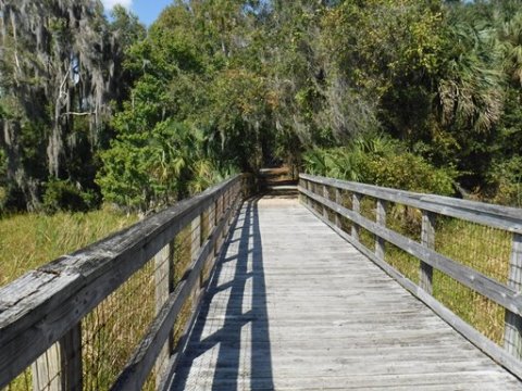 Payne's Prairie Preserve State Park, eco-biking, lake trail