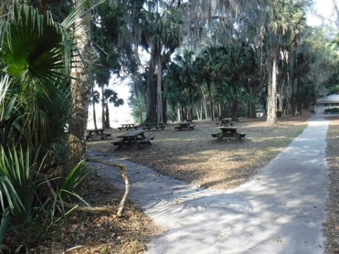 Payne's Prairie Preserve State Park, eco-biking, lake trail