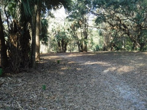 Payne's Prairie Preserve State Park, eco-biking, lake trail