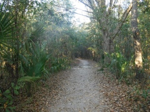 Payne's Prairie, eco-biking, Bolen Bluff