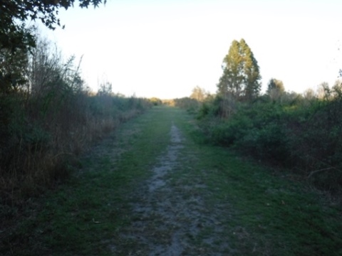 Payne's Prairie, eco-biking, Bolen Bluff