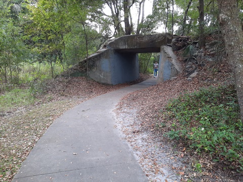 Payne's Prairie, eco-biking, La Chua Trail