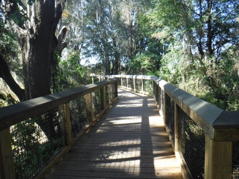 Payne's Prairie, eco-biking, La Chua Trail