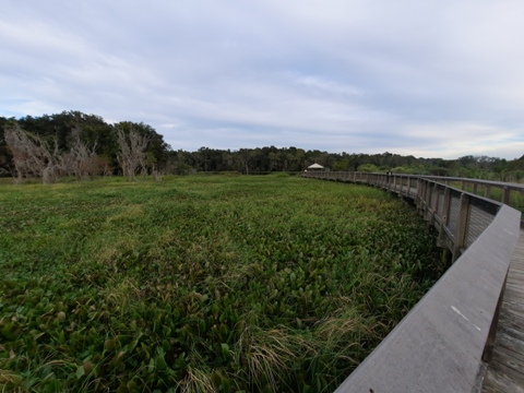 Payne's Prairie, eco-biking, La Chua Trail