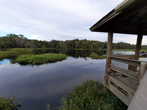 Payne's Prairie, eco-biking, La Chua Trail