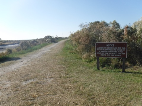 Payne's Prairie, eco-biking, La Chua Trail