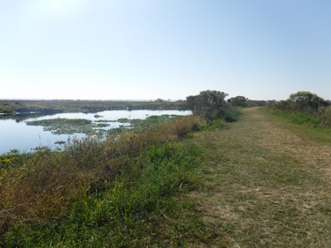 Payne's Prairie, eco-biking, La Chua Trail