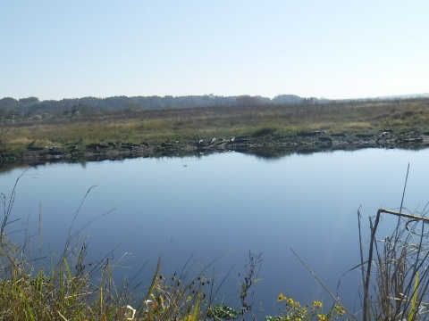 Payne's Prairie, eco-biking, La Chua Trail