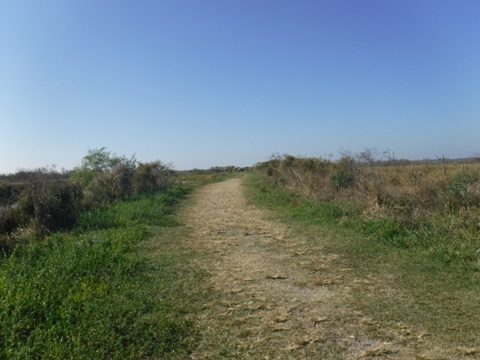 Payne's Prairie, eco-biking, La Chua Trail