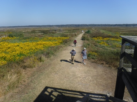 Payne's Prairie, eco-biking, La Chua Trail