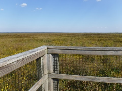 Payne's Prairie, Bolen Bluff