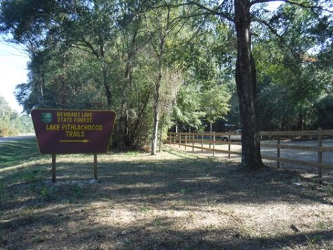 Payne's Prairie, eco-biking, lake pithlachocco trails